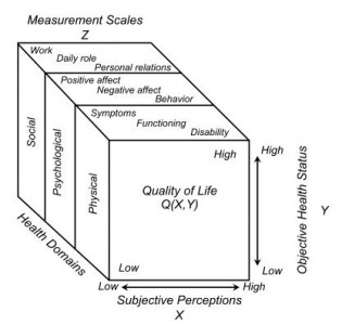 Figure 2. Conceptual Framework for the Measurement of HRQoL  